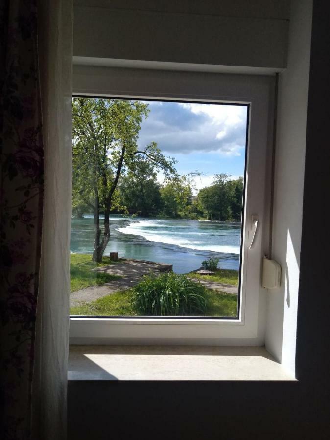Appartement 1